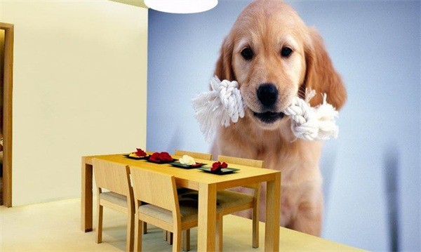 韩国BJ壁画墙纸